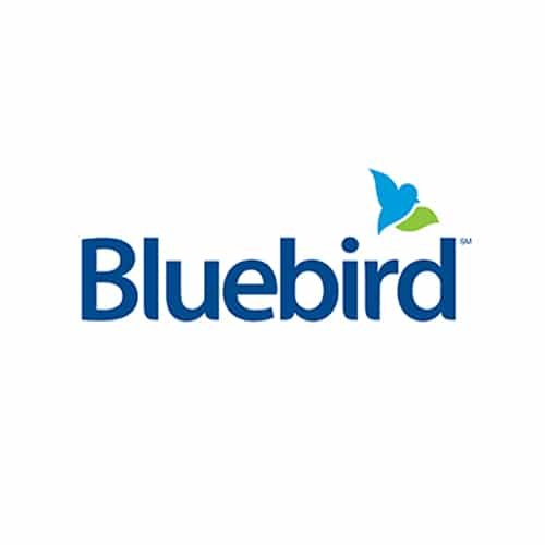 Аккаунты Bluebird саморег